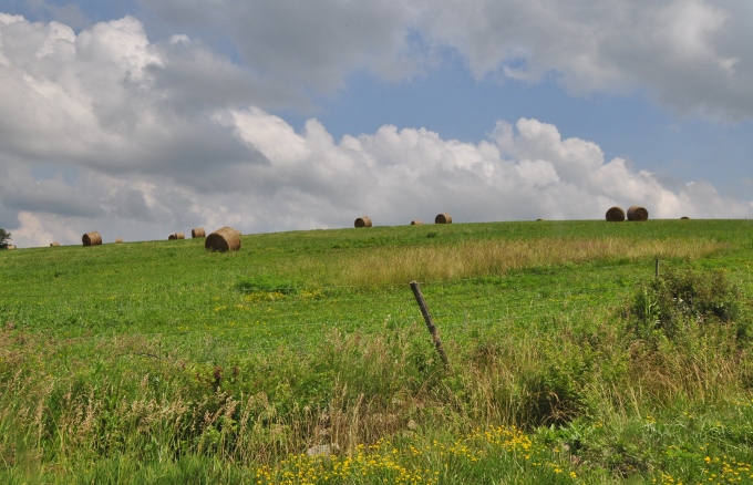 Ohio Amish farmland